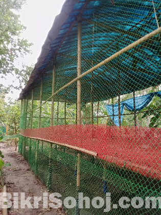 মুরগির খামার সকল কিছু বিক্রি করা হবে